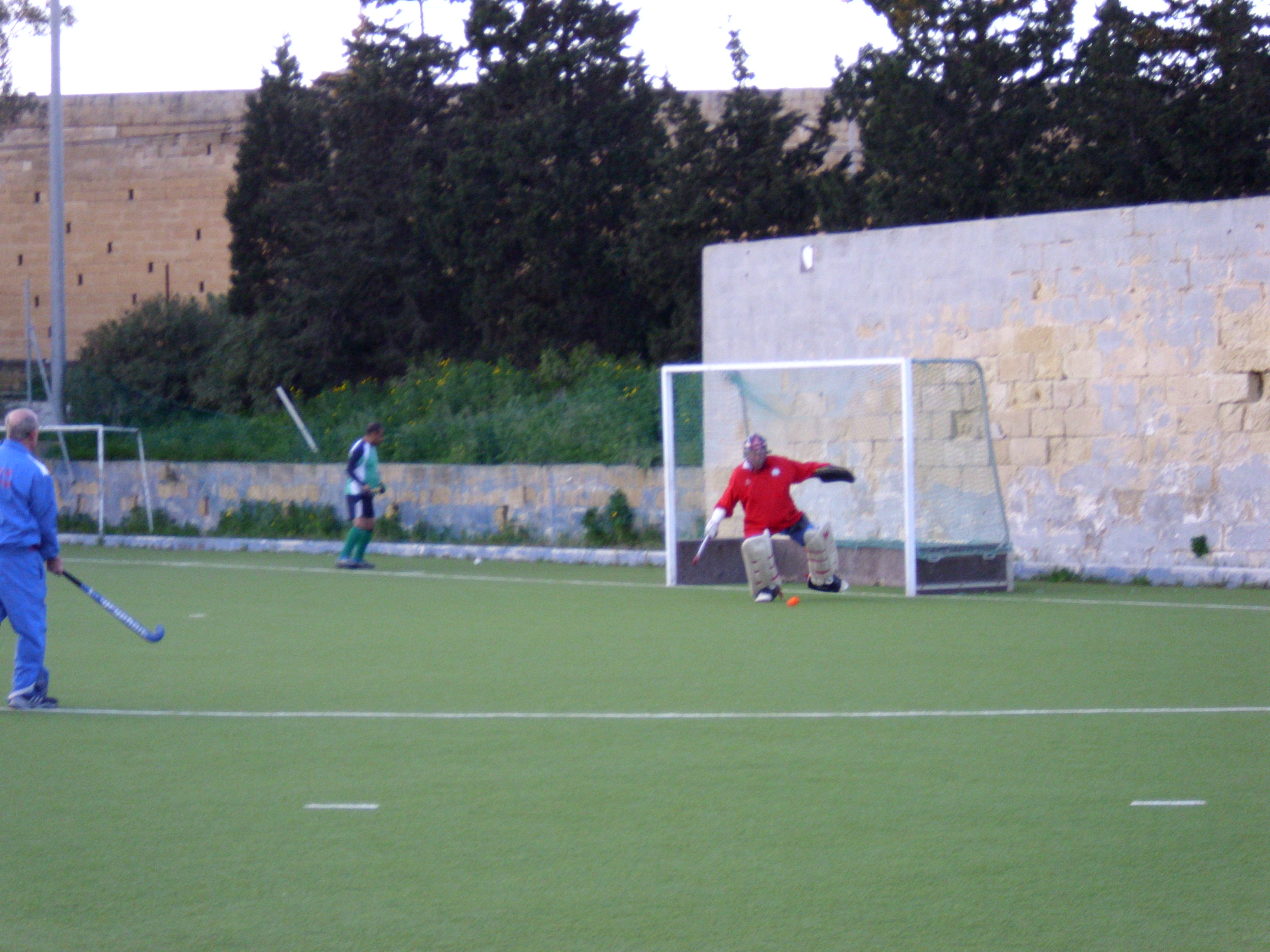 Image description of picture_1